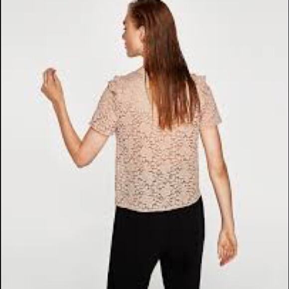 Zara Ruffled Guipure Lace Top Blush Beige Size Small NEW - Picture 5 of 11